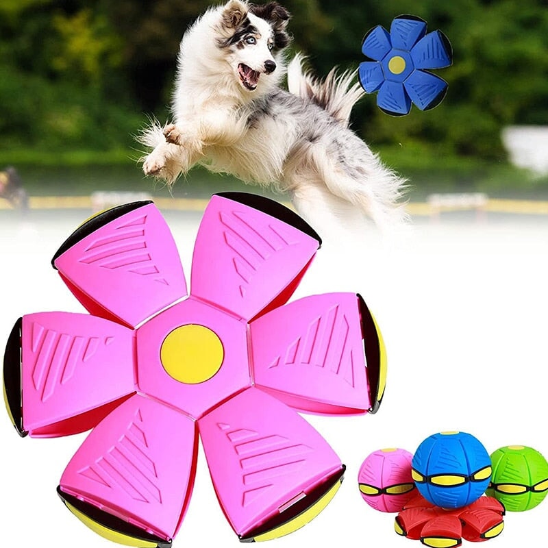 Juguetes para perros Platillo volador Bola UFO Deportes interactivos al aire libre