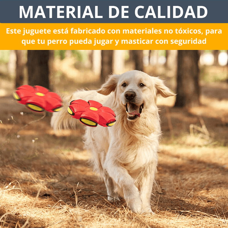 Juguetes para perros Platillo volador Bola UFO Deportes interactivos al aire libre